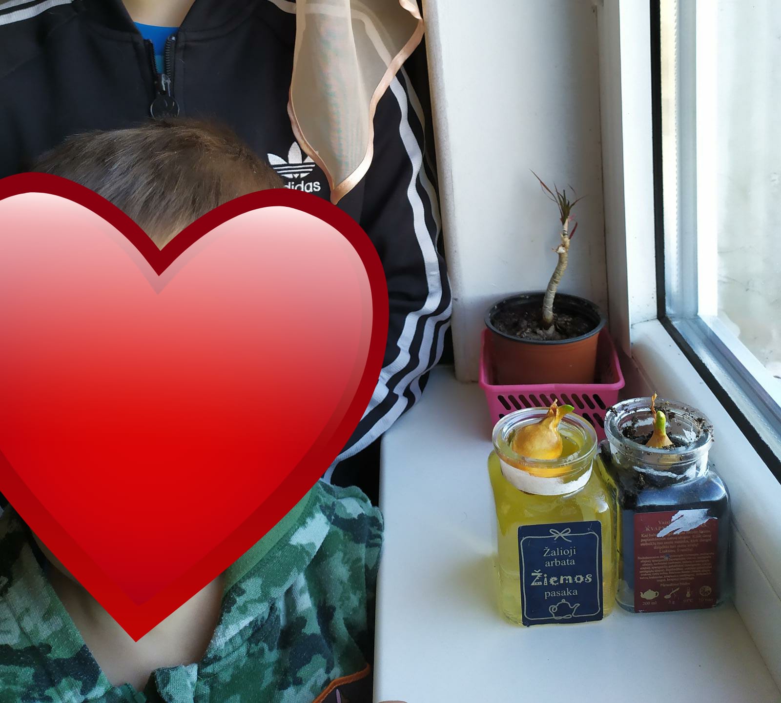 6b97365f-7682-429a-967f-22695c6a762c