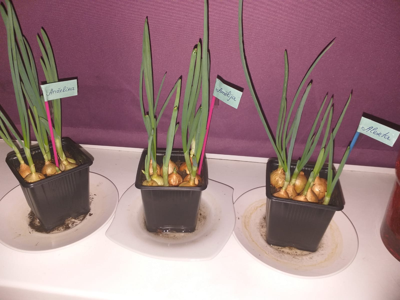 d236e5fe-2ef7-4bdd-b176-5fe35c08b9b1