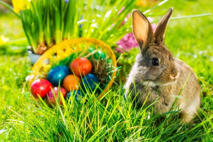 Gaidām Lieldienas, sagaidām!